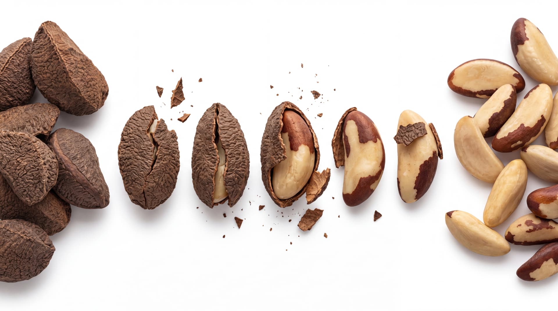 Da castanha à qualidade Rei das Castanhas